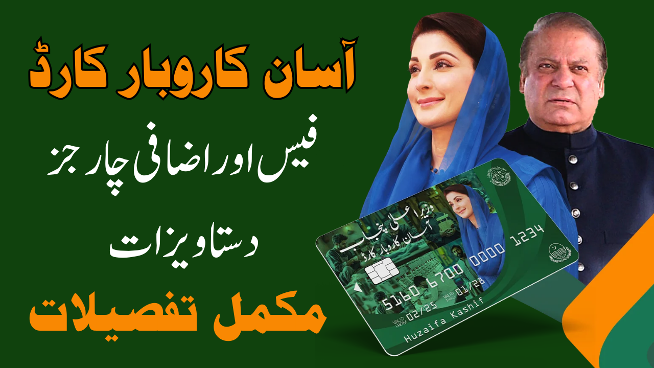 CM Punjab Asaan Karobar Card