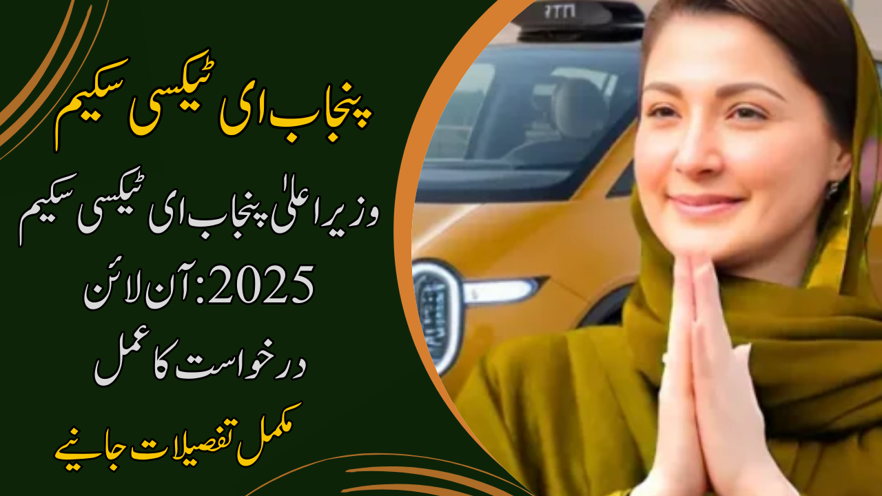 CM Punjab E-Taxi Scheme